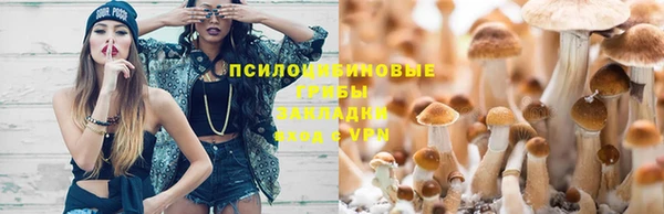 spice Касимов