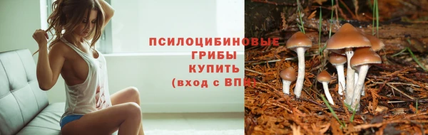 COCAINE Карпинск