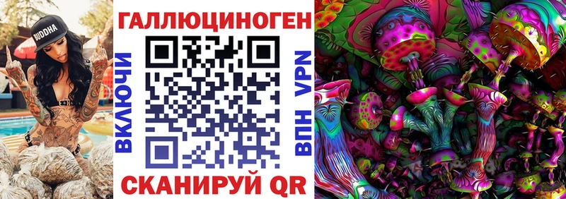 Купить  Будённовск  Галлюциногенные грибы Psilocybine cubensis 